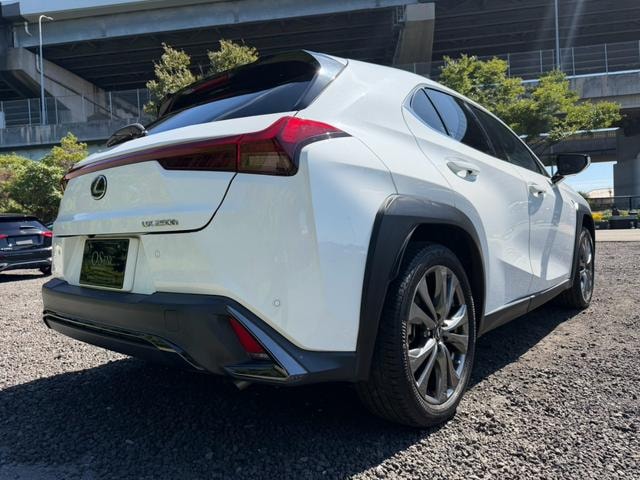 Миниатюра 24