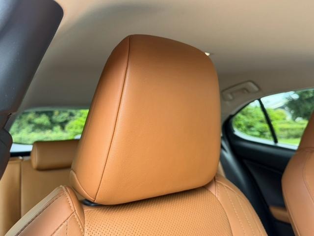 Миниатюра 41