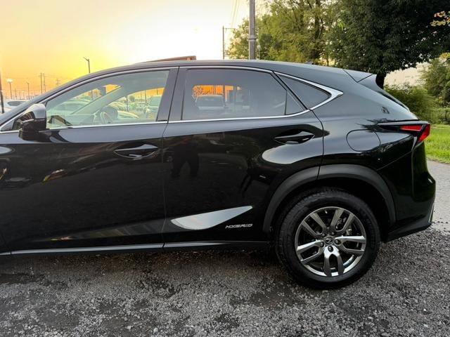 Lexus NX 2021 — фото автомобиля 1