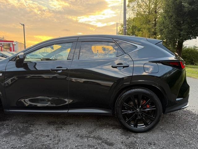 Lexus NX 2023 — фото автомобиля 1