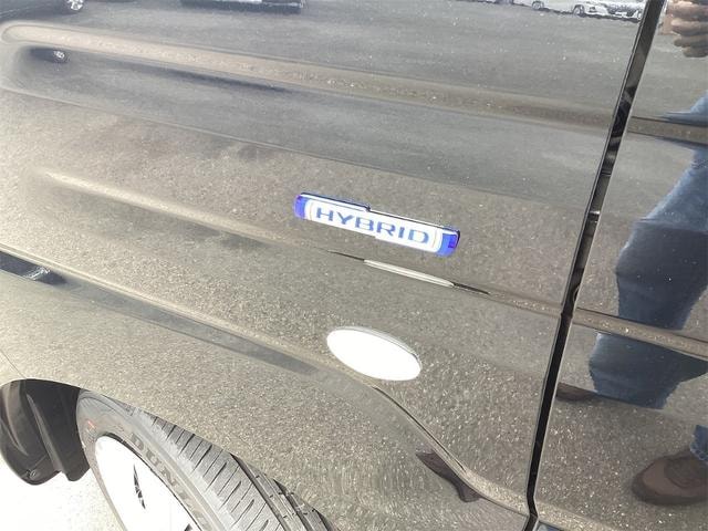 Миниатюра 28