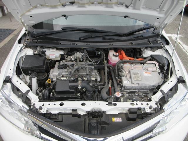Миниатюра 54