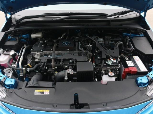 Миниатюра 67