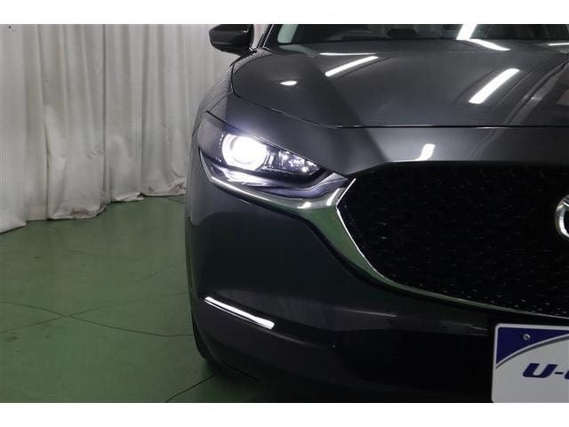 Миниатюра 30