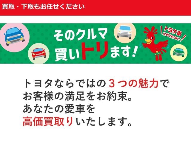 Миниатюра 43