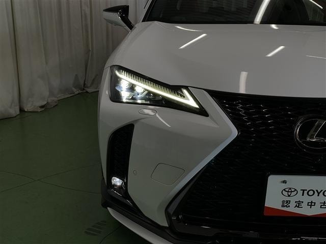 Миниатюра 33