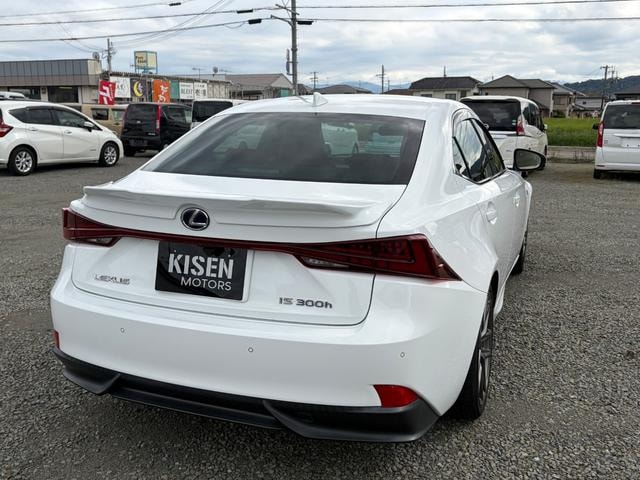 Миниатюра 13