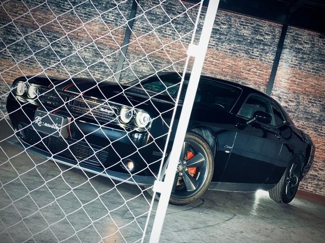 Миниатюра 7