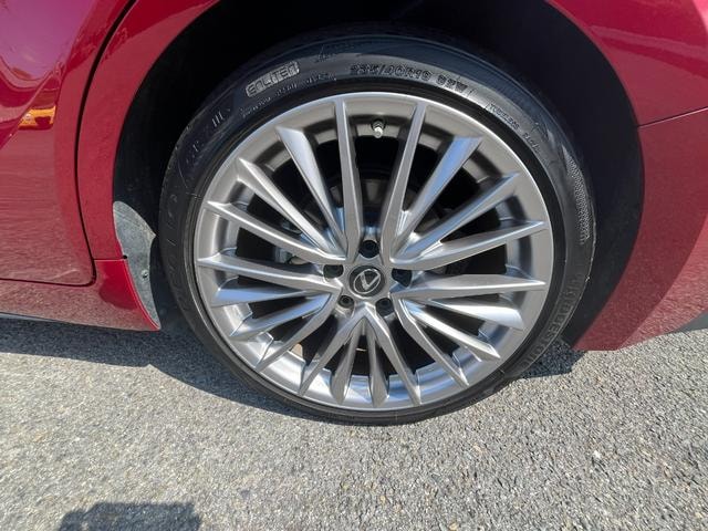 Миниатюра 42