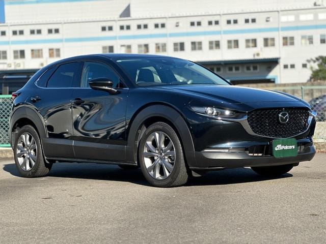 Миниатюра 7