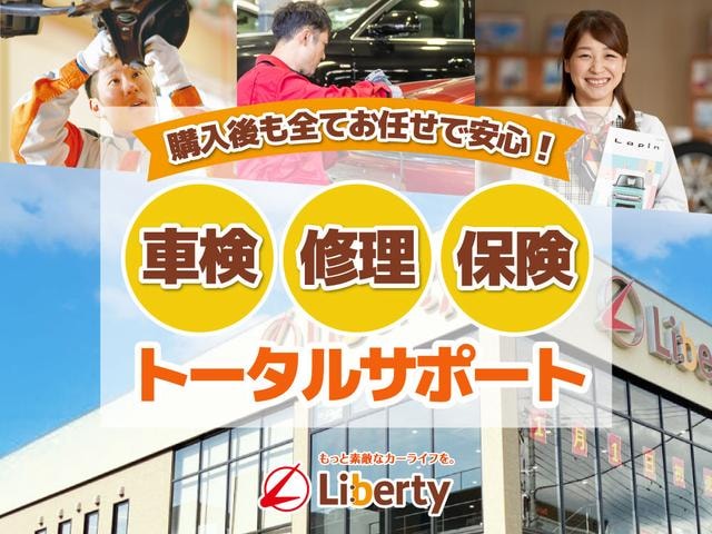 Миниатюра 66