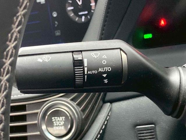 Миниатюра 47
