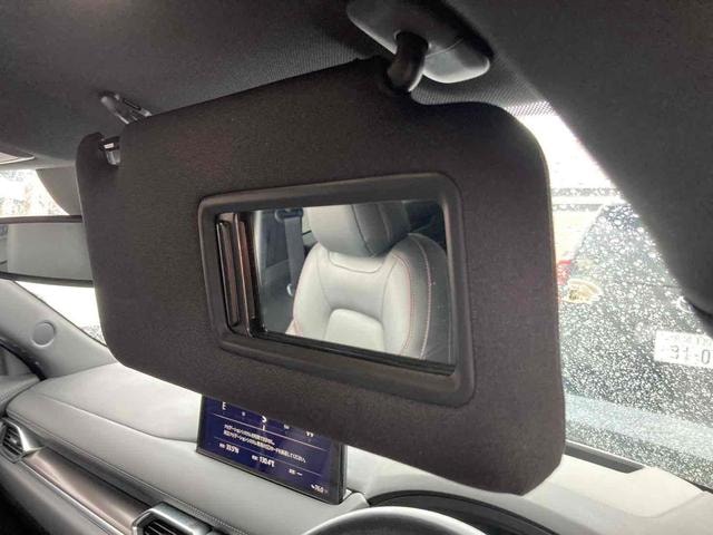 Миниатюра 35