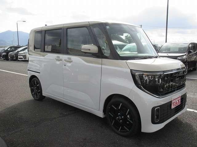 Миниатюра 31