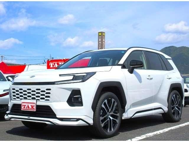 Миниатюра 31