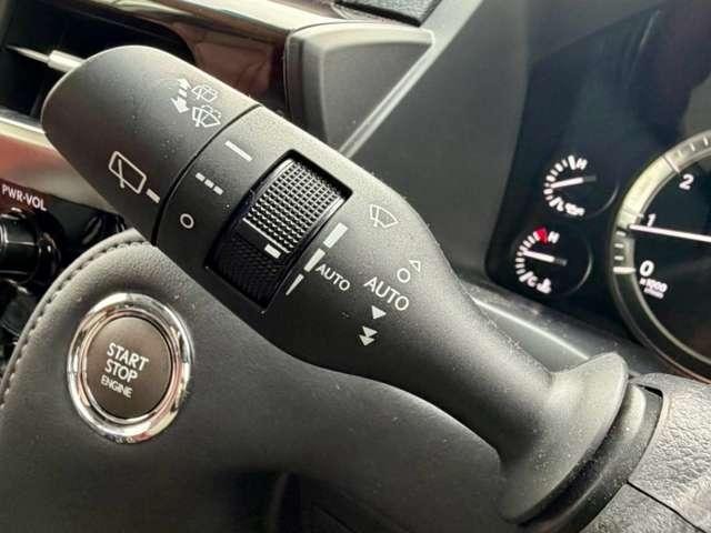 Миниатюра 12
