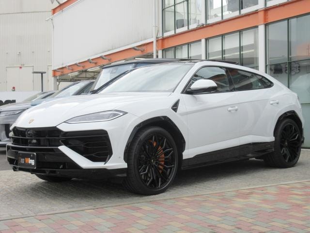 Миниатюра 19