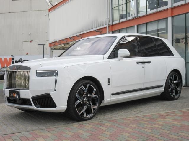 Миниатюра 12