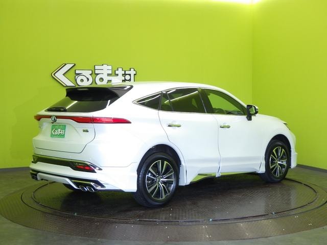 Миниатюра 28