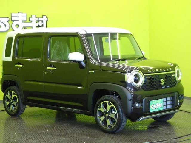 Миниатюра 12