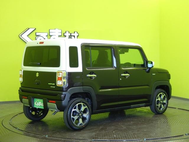 Миниатюра 14