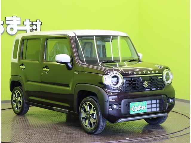 Миниатюра 12