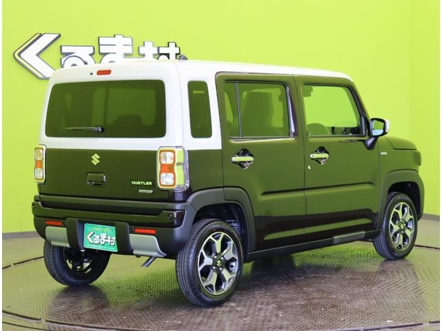 Миниатюра 14