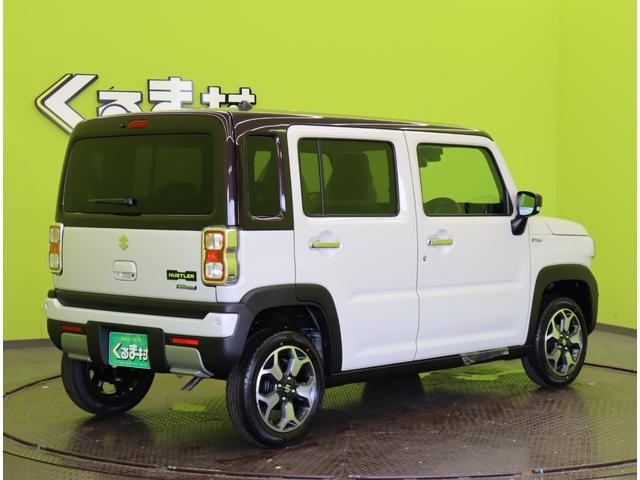 Миниатюра 15