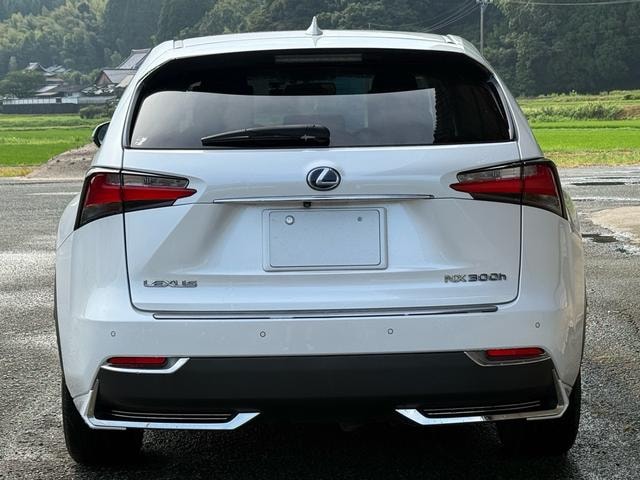 Lexus NX 2016 — фото автомобиля 1