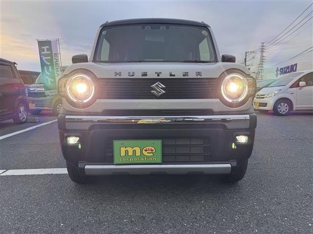 Миниатюра 51