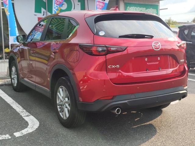 Миниатюра 17