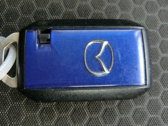 Миниатюра 55