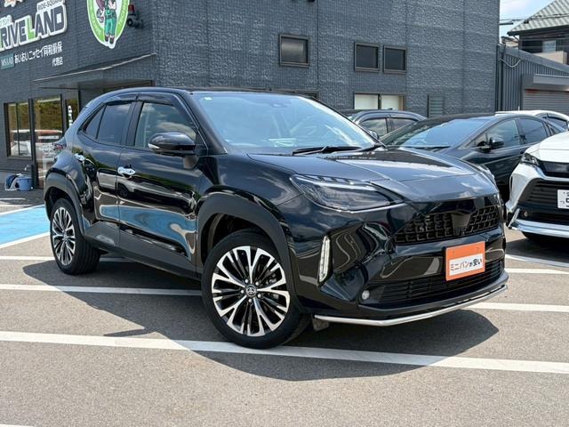 Миниатюра 65