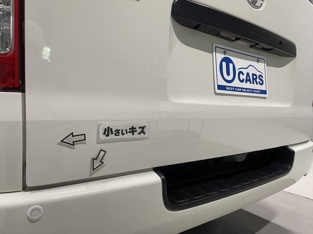 Миниатюра 66