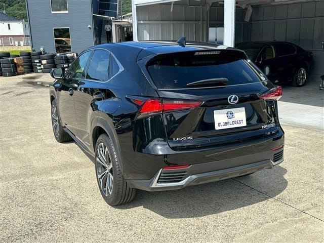 Миниатюра 12