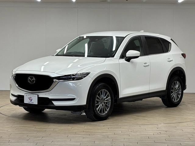 Миниатюра 22