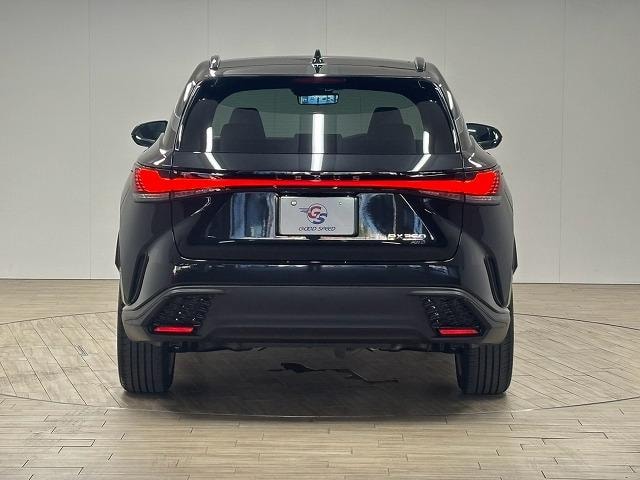 Миниатюра 26