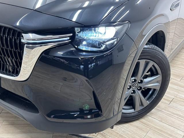 Миниатюра 29