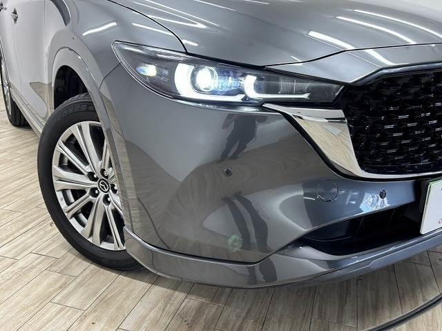 Миниатюра 22
