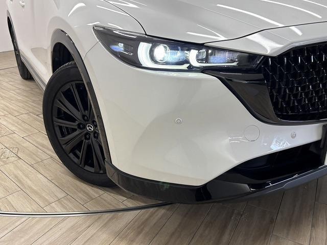 Миниатюра 29