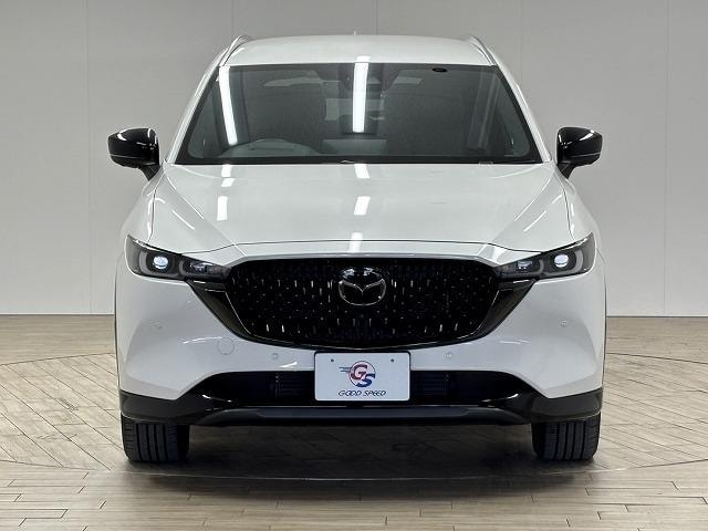 Миниатюра 73