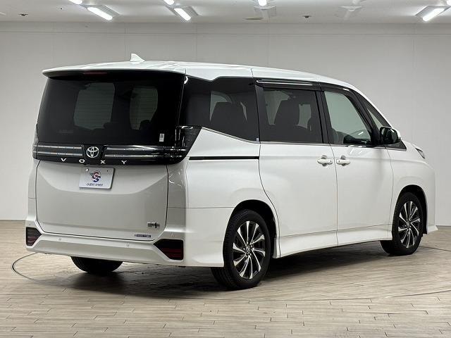 Миниатюра 66