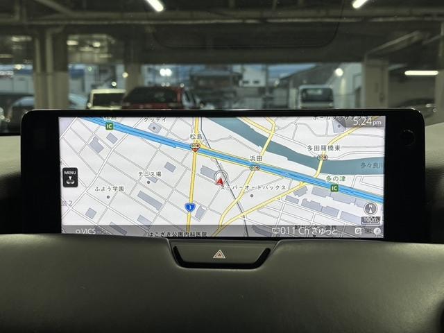 Миниатюра 25