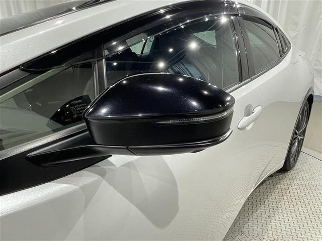 Миниатюра 35