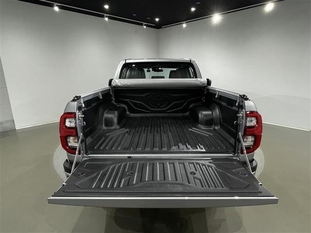 Миниатюра 31