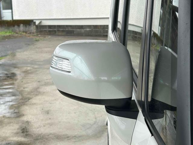 Миниатюра 29