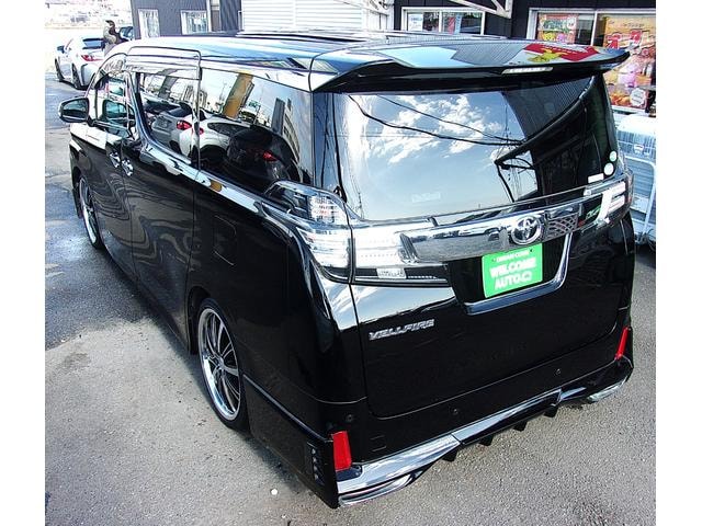 Миниатюра 39