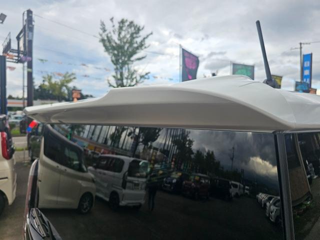 Миниатюра 13