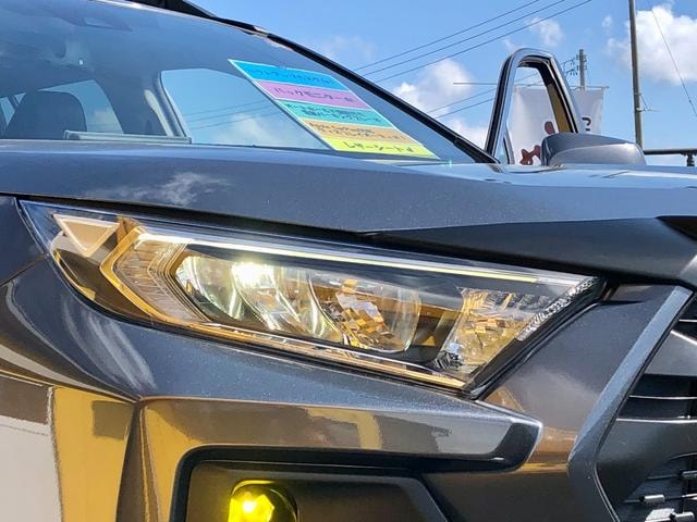 Миниатюра 41