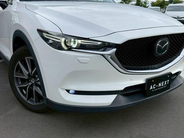 Миниатюра 31
